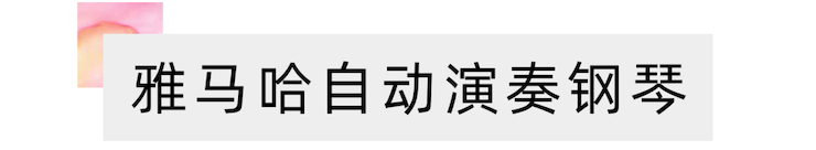 活动报道 | “科技助力，跨越时空”，小鹿纯子携手刘明康共享中日音乐盛宴