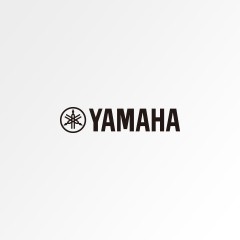 AG真人官方网电子键盘产品踏板连接线相关问题声明